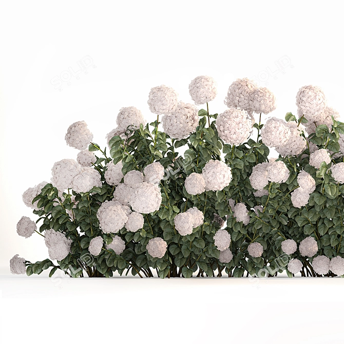 White Hydrangea Bush for Garden Decor 3D model image 2