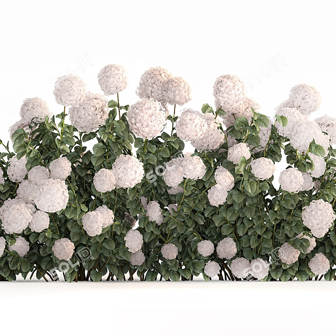 White Hydrangea Bush for Garden Decor 3D model image 3