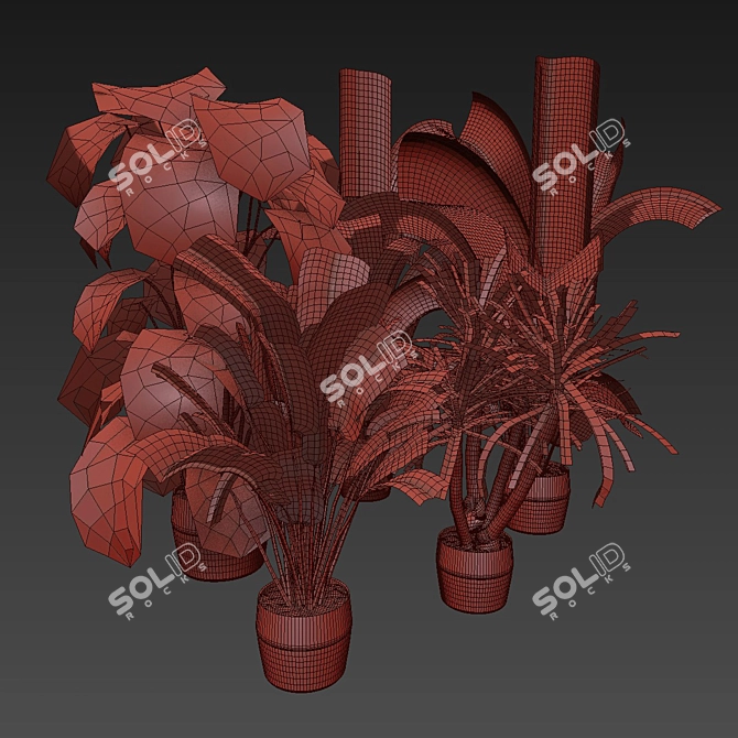 Premium Indoor Plant Collection Vol.452 3D model image 6