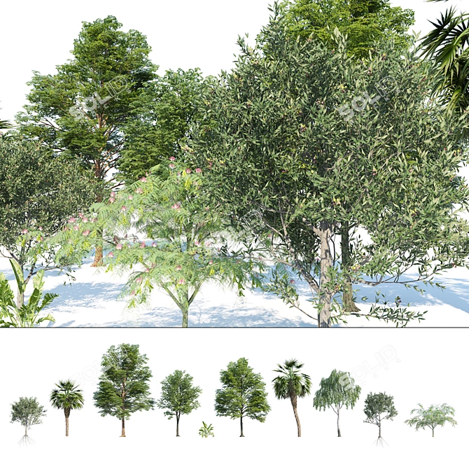 Urban Park Trees Collection 3D model image 1