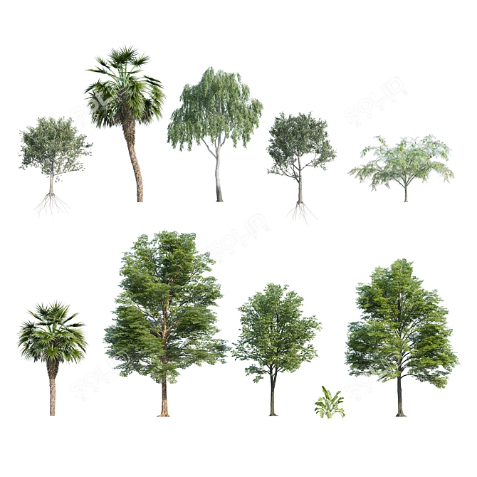 Urban Park Trees Collection 3D model image 2