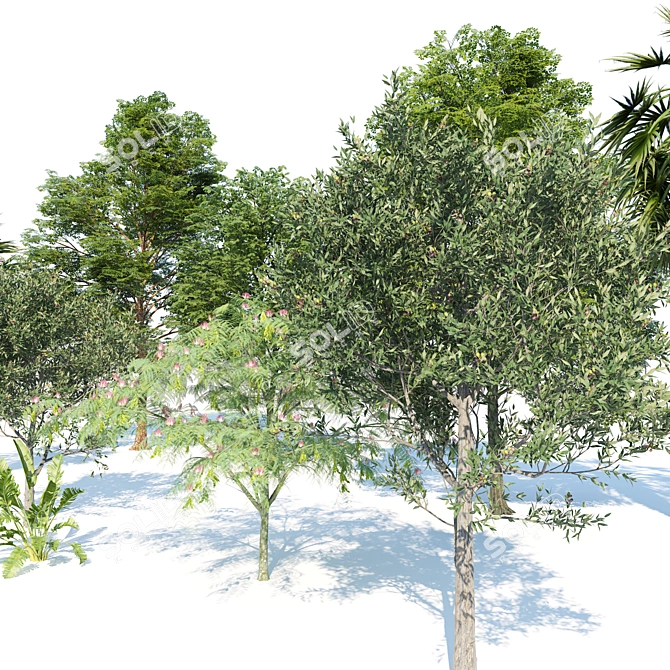 Urban Park Trees Collection 3D model image 4