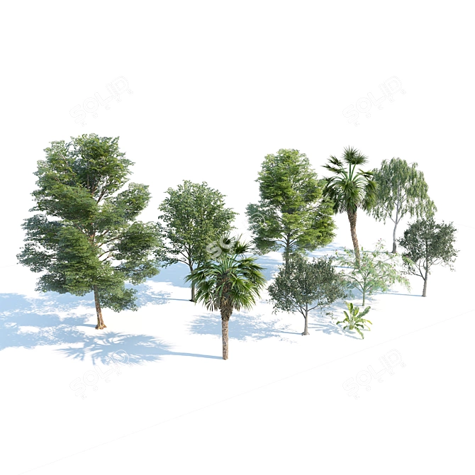 Urban Park Trees Collection 3D model image 5