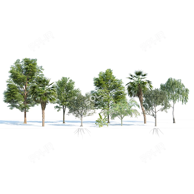 Urban Park Trees Collection 3D model image 6