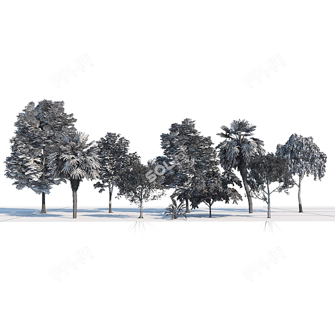 Urban Park Trees Collection 3D model image 7