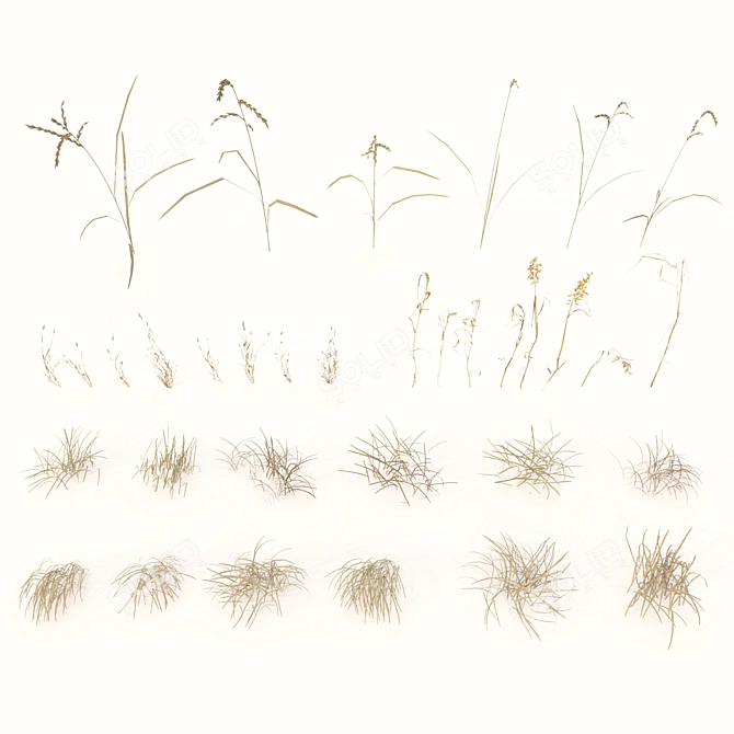 Autumn Grass Field Assets 3D model image 6