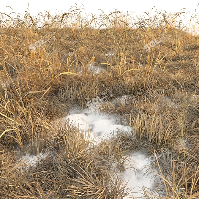 Autumn Grass Field Assets 3D model image 9