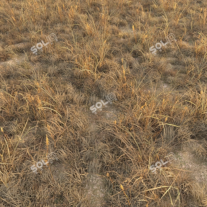 Autumn Grass Field Assets 3D model image 12