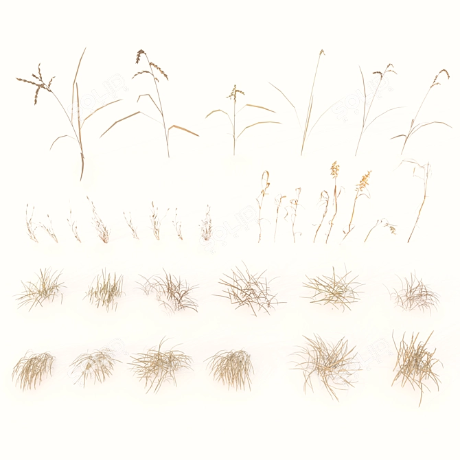 Autumn Grass Field Assets 3D model image 13