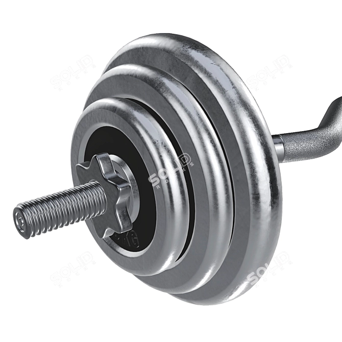 Curved Weight Bar & Weights 3D model image 2