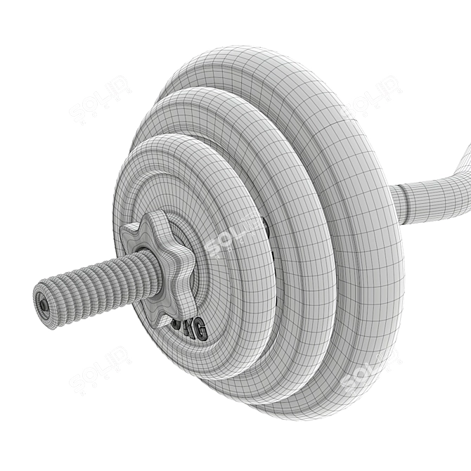 Curved Weight Bar & Weights 3D model image 3