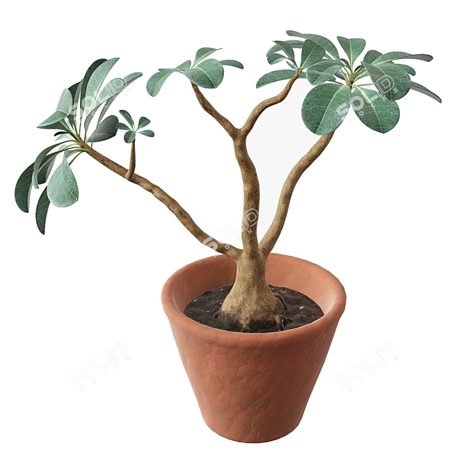 Bignonia Flowerpot Decorative Model 3D model image 1