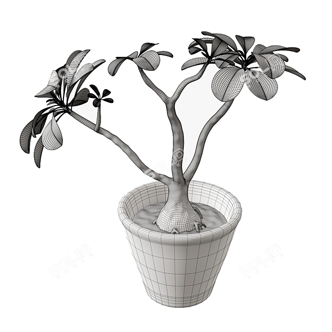 Bignonia Flowerpot Decorative Model 3D model image 2