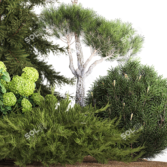 Greenery Collection for Landscaping 3D model image 4