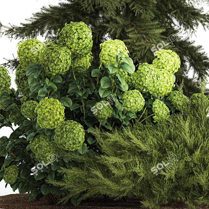 Greenery Collection for Landscaping 3D model image 5