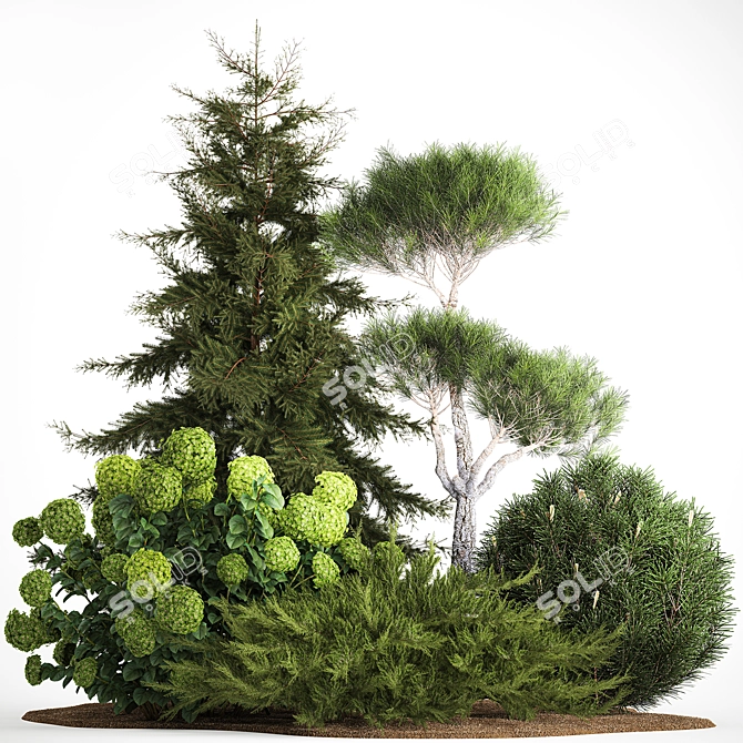 Greenery Collection for Landscaping 3D model image 6