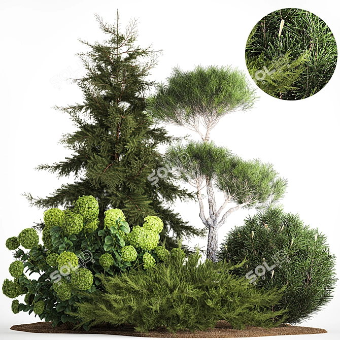 Greenery Collection for Landscaping 3D model image 8