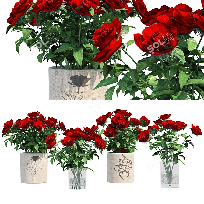 Red Rose Vases Set Beauty 3D model image 1