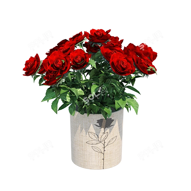 Red Rose Vases Set Beauty 3D model image 2