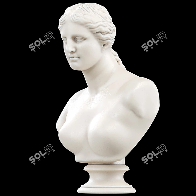 Venus De Milo Goddess Bust 3D model image 1