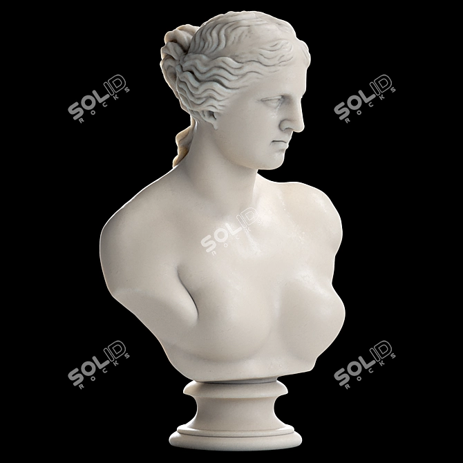 Venus De Milo Goddess Bust 3D model image 3