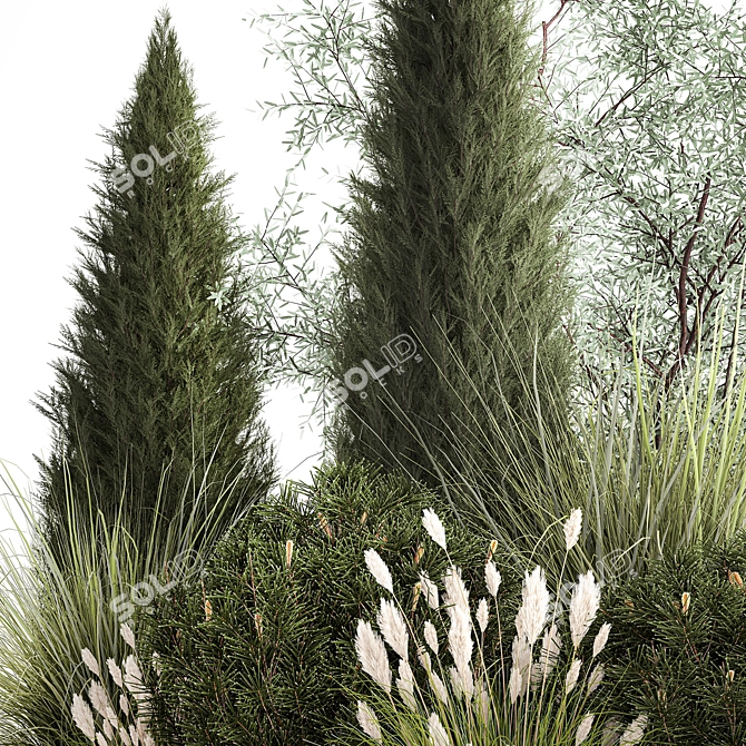 Evergreen Ornamental Plant Collection 3D model image 2