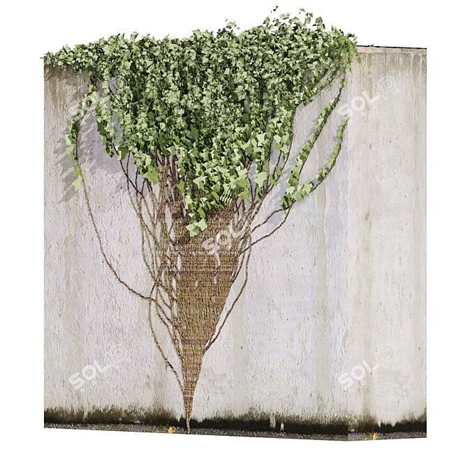 Premium Ivy Outdoor Plant Model 3D model image 5