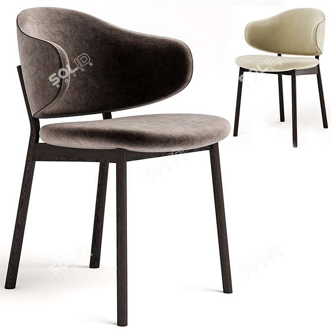 Modern Holly Chair by Calligaris 3D model image 1