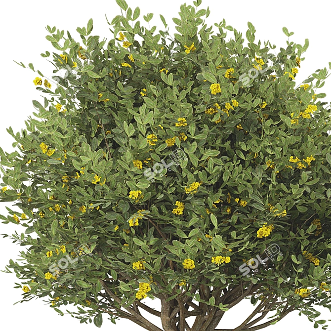 65 Blooming Tree Plant Collection 3D model image 1