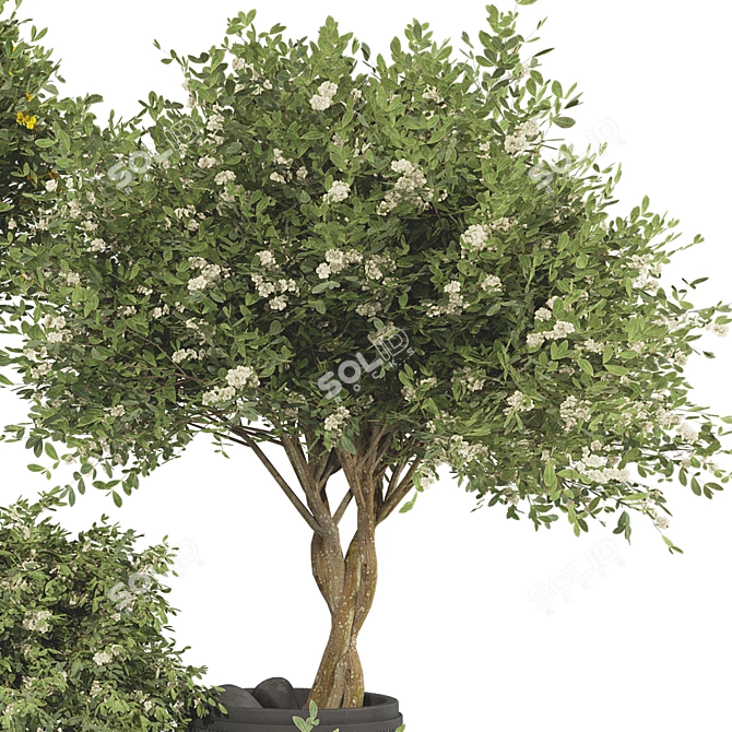 65 Blooming Tree Plant Collection 3D model image 2