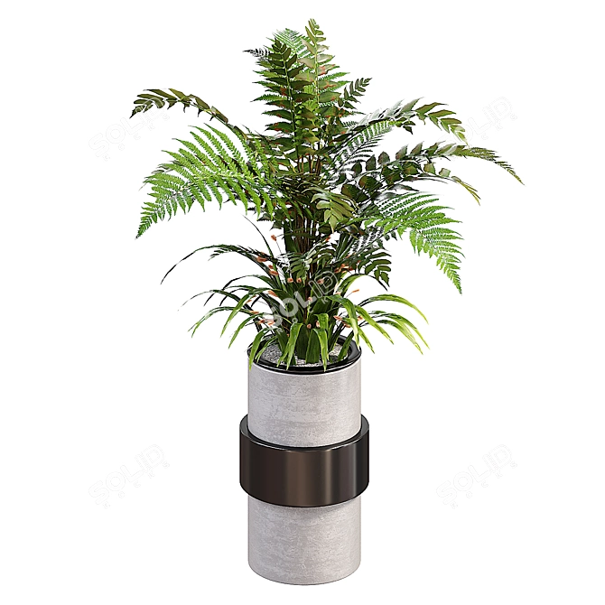 Fern Indoor Plants 3D Model 3D model image 2