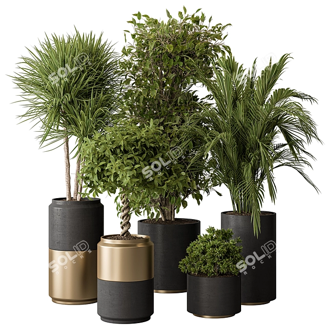 Lush Indoor Foliage Combo 3D model image 1