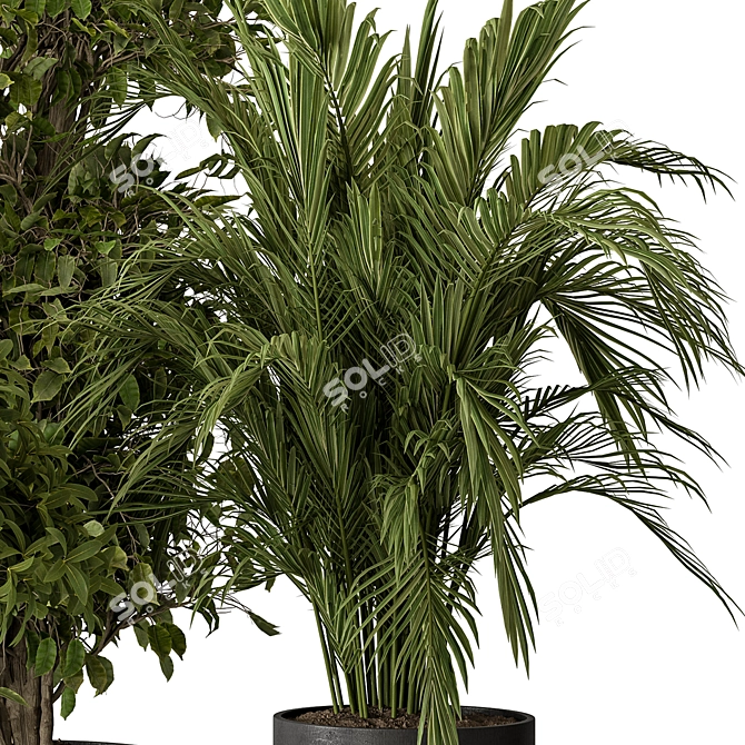 Lush Indoor Foliage Combo 3D model image 4