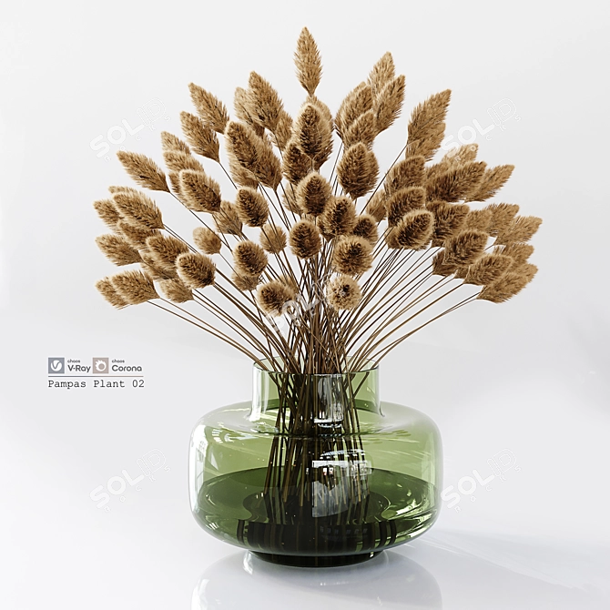Detailed Pampas Plant 3D Model 3D model image 1