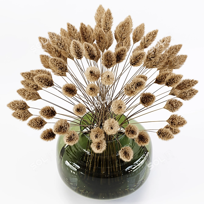 Detailed Pampas Plant 3D Model 3D model image 5