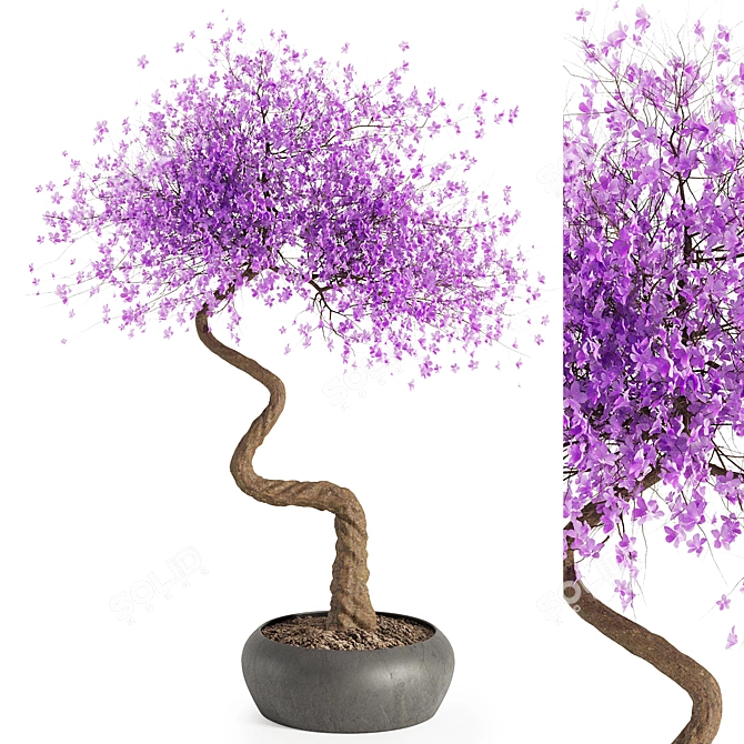 Purple Bonsai Flower Miniature Decor 3D model image 2