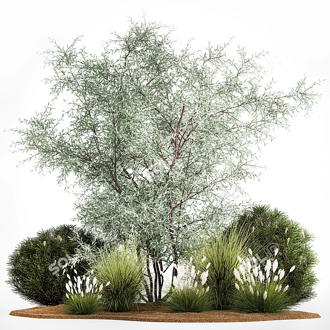 Alpine Plant Collection Set 3D model image 1