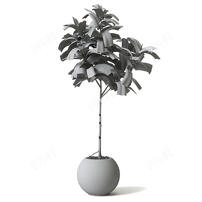 Natural Rubber Tree Decor 3D model image 2