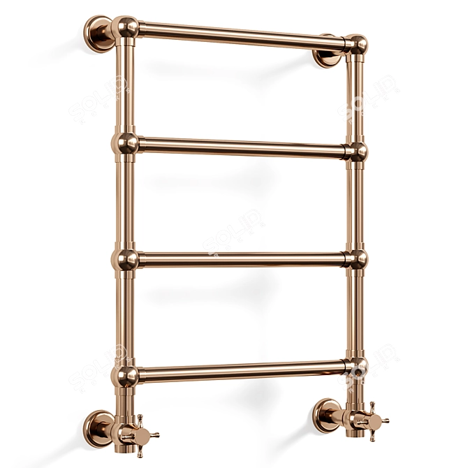 Elegant Brass Towel Warmers Duo 3D model image 1