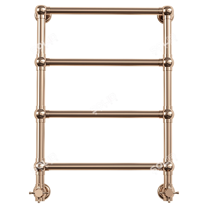 Elegant Brass Towel Warmers Duo 3D model image 2