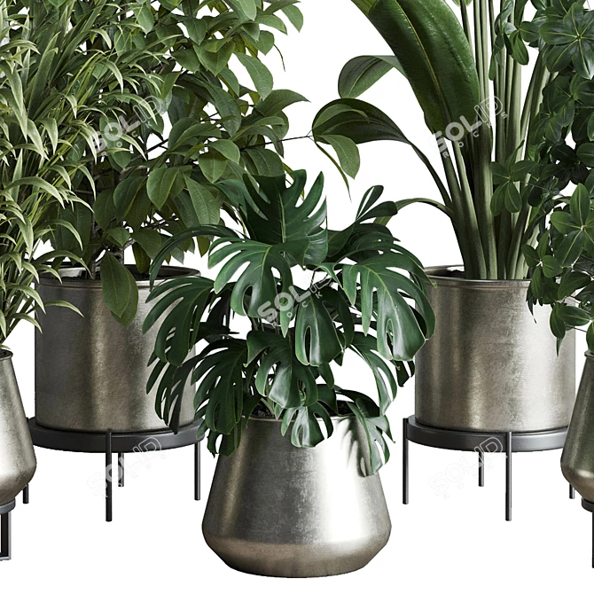 Multifarious Indoor Plant Set 3D model image 2