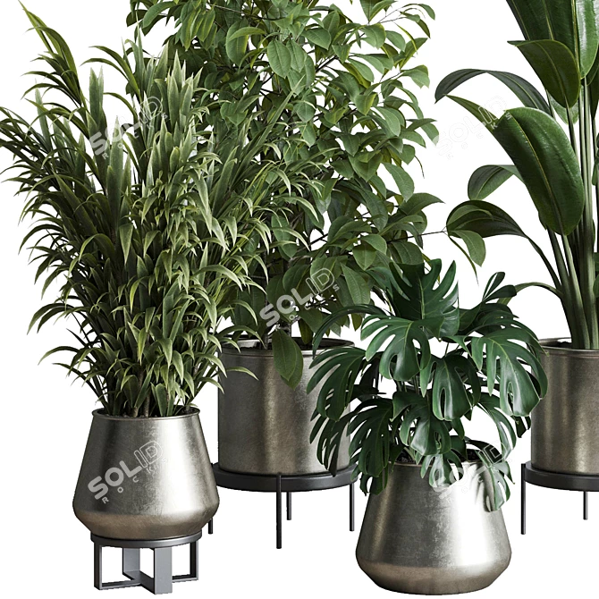 Multifarious Indoor Plant Set 3D model image 3