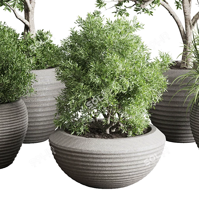 Concrete Vase Indoor Plant Set 3D model image 2