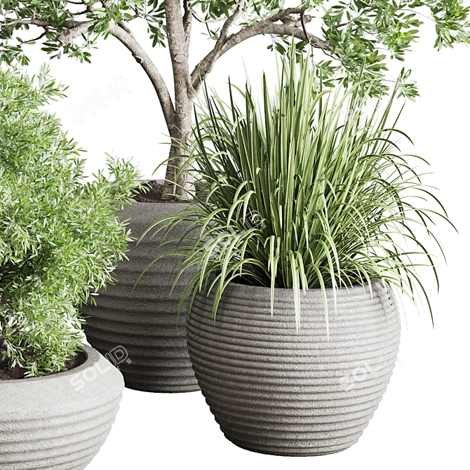 Concrete Vase Indoor Plant Set 3D model image 3