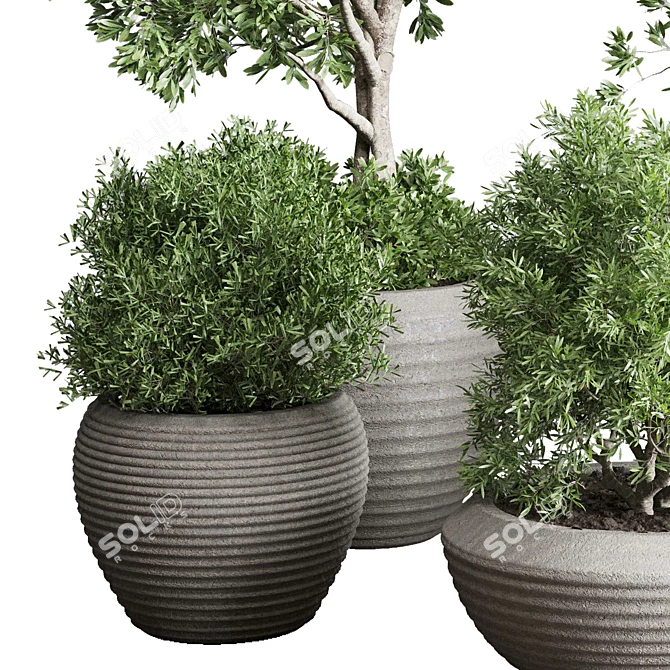 Concrete Vase Indoor Plant Set 3D model image 4