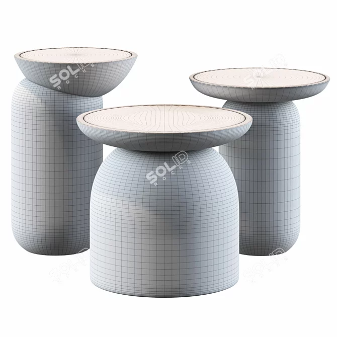 Rustic Charm Mezcalito Set 3D model image 2