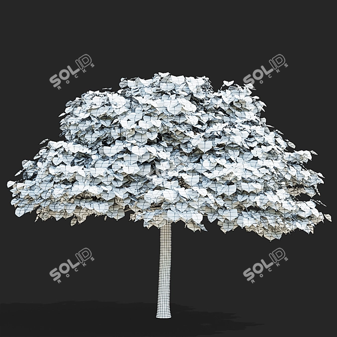 Catalpa Nana Tree Collection 3D model image 6