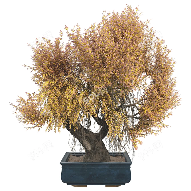 Elegant Bonsai Tree 100cm 3D model image 1