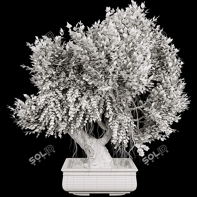 Elegant Bonsai Tree 100cm 3D model image 3