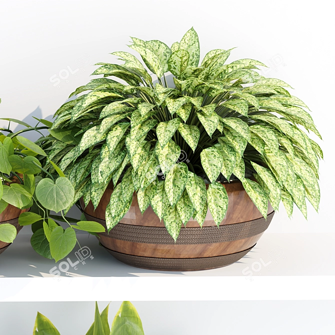 PBR Indoor Plant Shelf Collection 3D model image 2